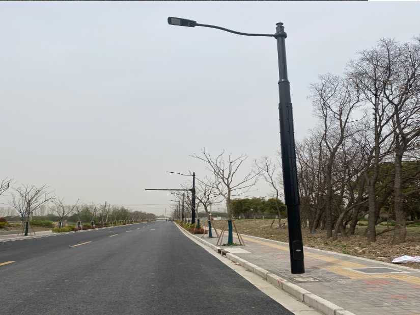 溧阳市上海综合杆 太阳能路灯工程